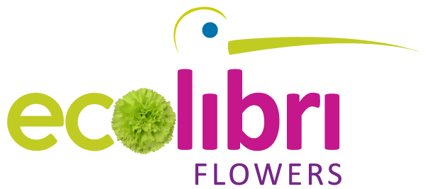 Sustainability Ecolibri Logo